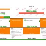 bixicam-3-m5206