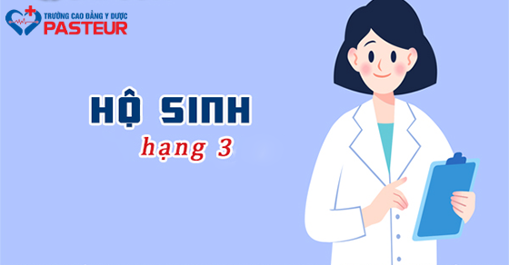 Hộ sinh hạng 3 trong hệ thống y tế công lập: Nhiệm vụ và trách nhiệm
