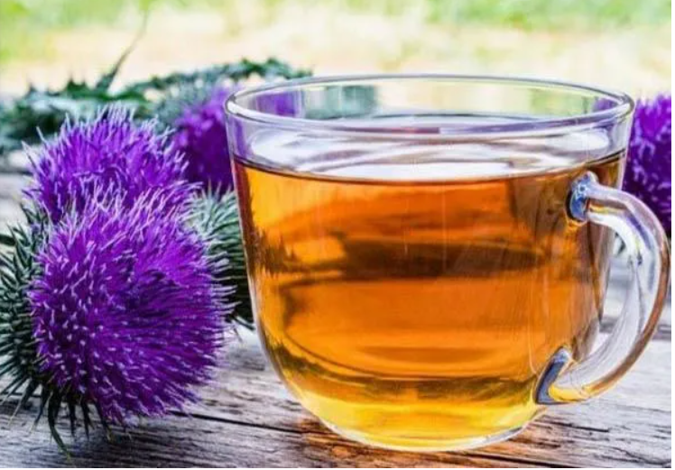 Trà được chế từ Hoa Kế sữa