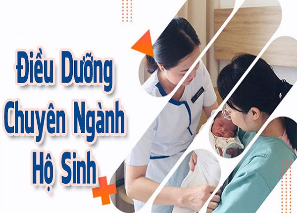 Tìm hiểu Điều dưỡng chuyên ngành Hộ sinh: Học gì, làm gì và ra trường làm ở đâu?